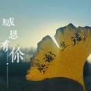 丹_321