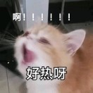 不见君-STL下载网_3D打印模型网_3D模型库_3D打印模型素材_3D打印机