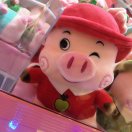 猪猪侠⁹₅² ₁