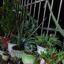 wx_黄世华53