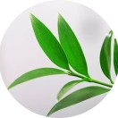 阚用志
