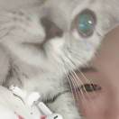 付佳怡