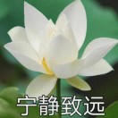 宁静致远的钢琴谱