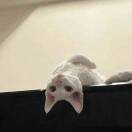 胡桂兰