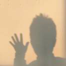 土洋芋的头像-WordPress主题模板-zibll子比主题