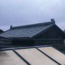 大头猫的头像-秀琴曲谱网