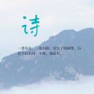 A驾校zsir