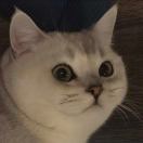 有零有诡