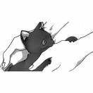 等不到天亮等时光