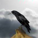 鄭州工商學(xué)院-王志民