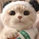 Kerwin小红书.双微抖音B站资源供应