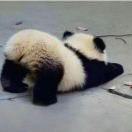 高先生的头像