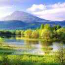 郑小奇的头像 老秦