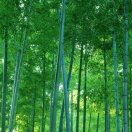 范晓琨