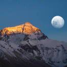 从心开始的头像-侠隐阁源码