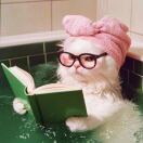 The Rotunda | St Martins Gate转租&房东直租