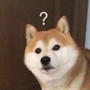 陈先生的头像