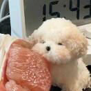 用户49492156的头像-博士钣金 - www.bsbanjin.com