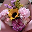 忆～冰颜-小果迷