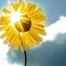 万事如意的头像-博士钣金 - www.bsbanjin.com