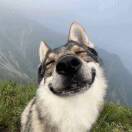 hao的头像-博士钣金 - www.bsbanjin.com