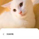 建安汇用户头像