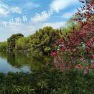 军绿色下的背影