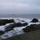 佛山市顺德区龙江镇城区中心小学