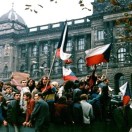 MX237的头像-cok论坛 - AGREE动漫游戏