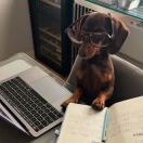 Duncan smith house转租