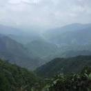 杨玉军