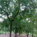 珍惜缘分家是温馨956