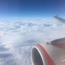 王元超的头像-外科技术网