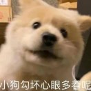 不当人的钢琴谱