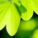 哥已不再是当年的哥（DJ何鹏版）-乔艳艳-239357757