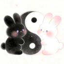 如果的头像-秀琴曲谱网