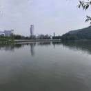 半步