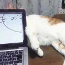 t1Ans的头像-梦马考研