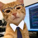 你能不能别熬夜了的头像-洛克魔法学院-洛克王国世界交流社区