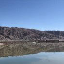 田野