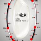 小小米         ༽