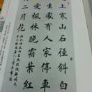 周小勤