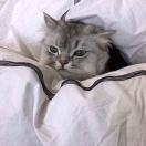 用户42731573的头像-小微之家 | 汪斌带你开公司 | 老汪洞察