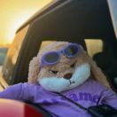 最帅的大鲵头的头像-小果迷