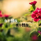 今天
