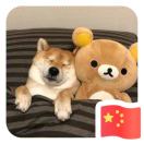 大大大奇葩