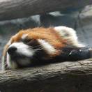 Loyalty的头像-博士钣金 - www.bsbanjin.com