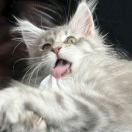 用户57337867-博士钣金 - www.bsbanjin.com