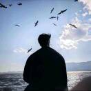 秋刀鱼.的头像-梦马考研