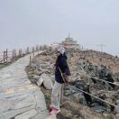 The toybox转租&房东直租